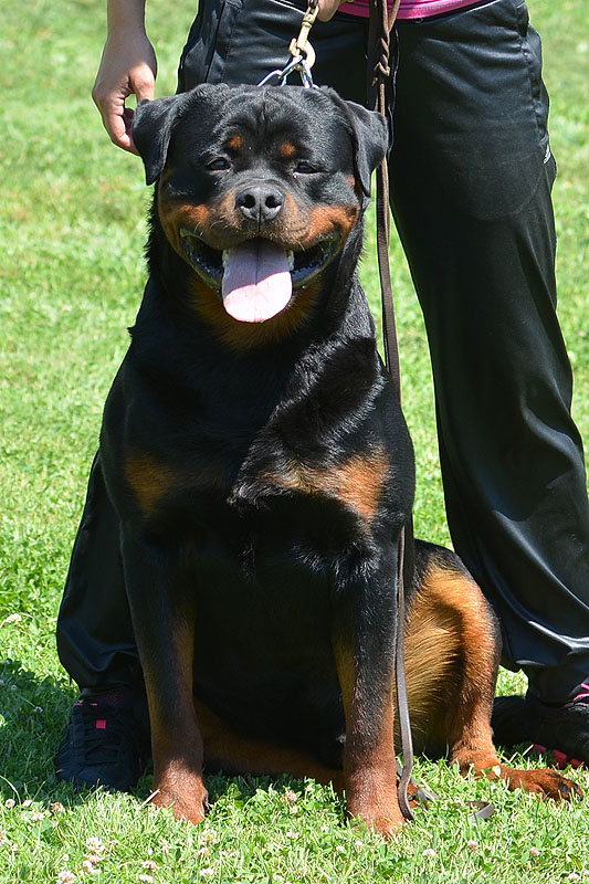 Yumbo von der Alten Festung Yumbo von der Alten Festung